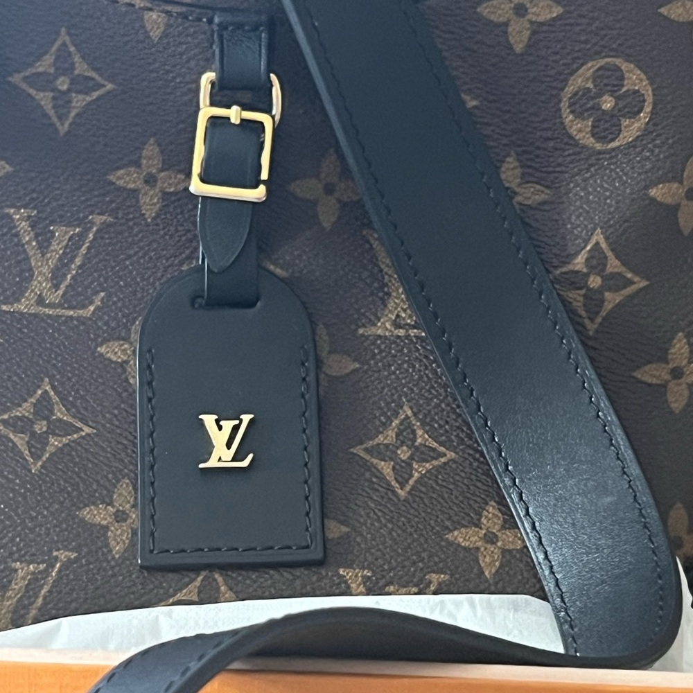 Louis Vuitton Damier Ebene Odéon